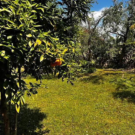 Welcome Traveller Laurence Garden Апартаменты