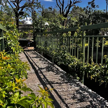 Welcome Traveller Laurence Garden Гарда